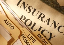 Buying Horse Insurance Part 1