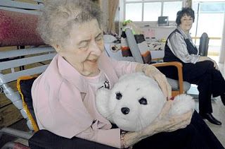 Robot pets equally effective for reliving loneliness