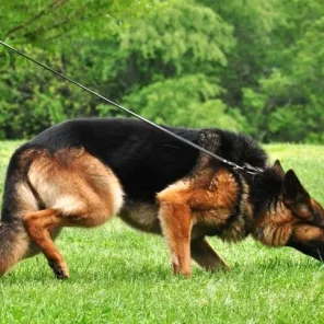 Agility Part 4 - Tracking Part 2