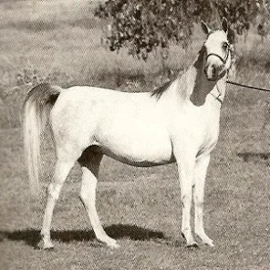 FHF Farpa Osiris