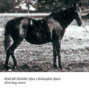 Hagar