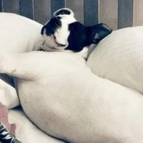 They didn't know if Casey would survive. Casey is doing well!