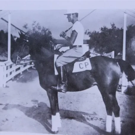 Gazeyna (Raseyn x Gazya) bay mare, foaled February 5, 1947
bred by United States Government