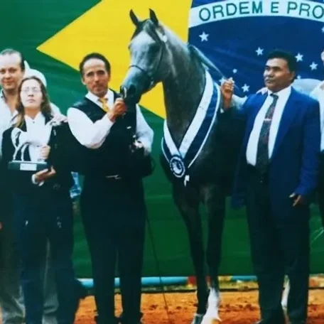 HW EGYPTIAN ART (*El Shaklan x Hal Sheeha NA) 1997 Brazilian