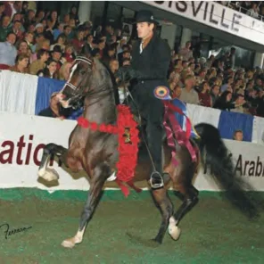 IXL Noble Express