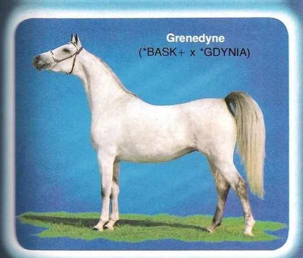 Grenedyne