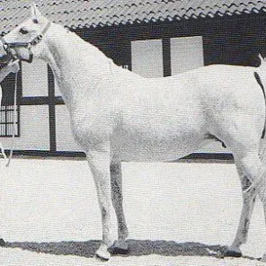 Bogoria