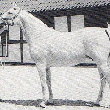 Bogoria