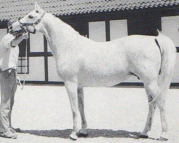 Bogoria