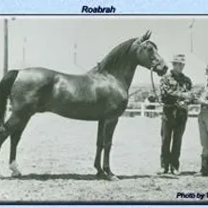 ROABRAH