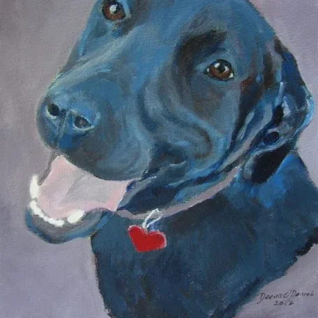 Portrait of sweet Mia, the black Lab