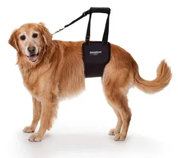 GingerLead