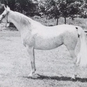 ANSATA BINT MABROUKA