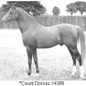 *COUNT DORSAZ