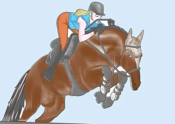 Riding Disciplines and Equestrian Styles - which is right for you