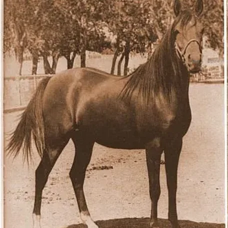 Aabba