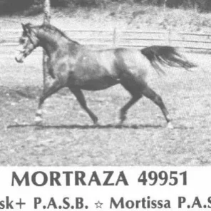 Mortraza