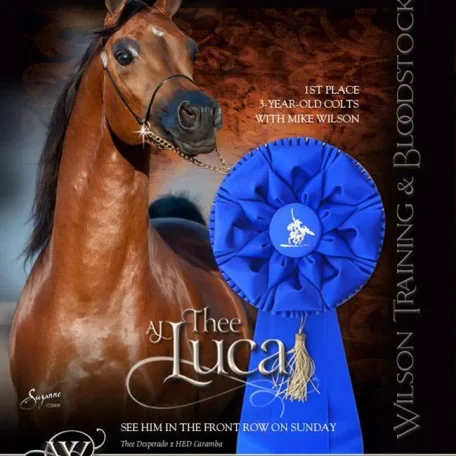 Congratulations to AJ Thee Luca and Wilson Training Center, Great job Guy's!!!
