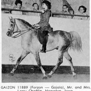 Gaizon