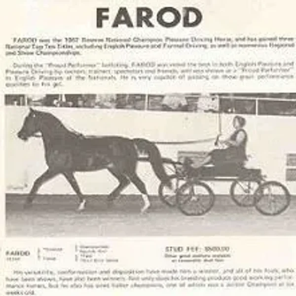 Farod