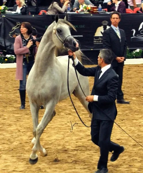 EXCALIBUR EA