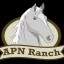 Apenimon Ranch