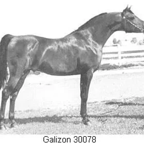 GALIZON