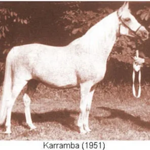 KARRAMBA