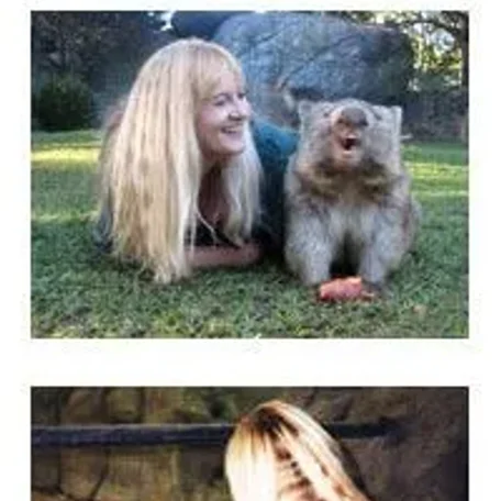 Force Free Animal Traning