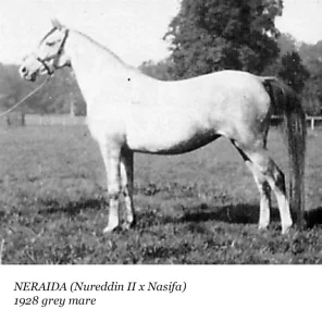 Neraida