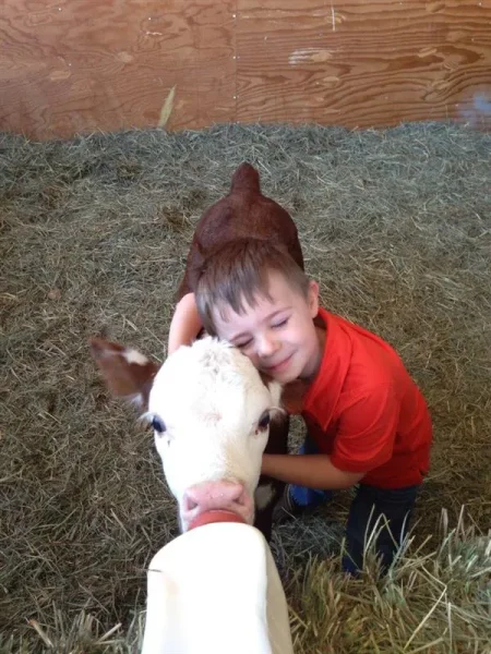 What a touching and sweet photo of a Boy and an orphan calf!