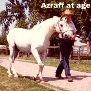 AZRAFF