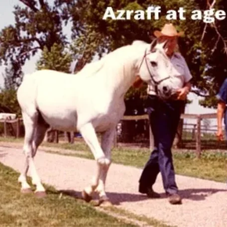 AZRAFF