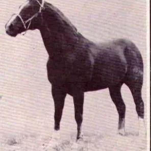 Sonny Kimble