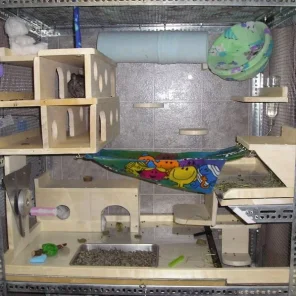 Chinchilla Cages – Top 8 Tips for Buying