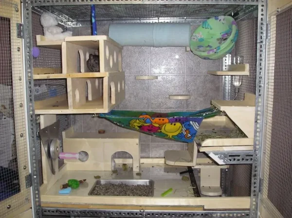 Chinchilla Cages