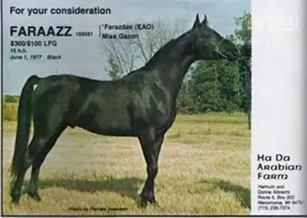Faraazz