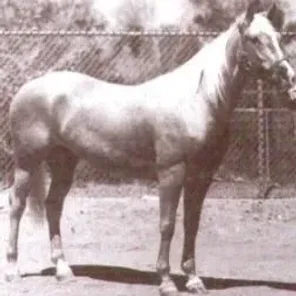 Frontera Sugar