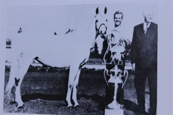 Moneyna (Raseyn x Monica) grey mare, foaled April 7, 1937bred by W.K. Kellogg Institute