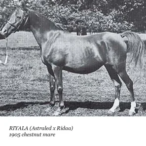 Riyala
