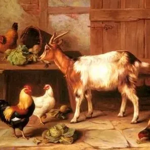 Goat Tales