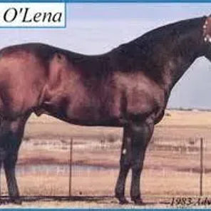 Doc OLena