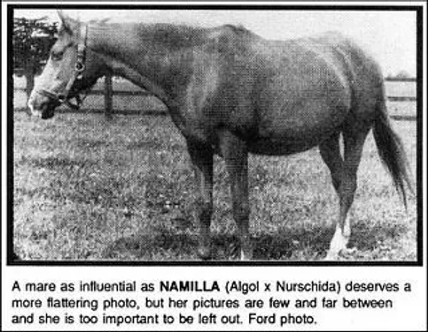 Namilla