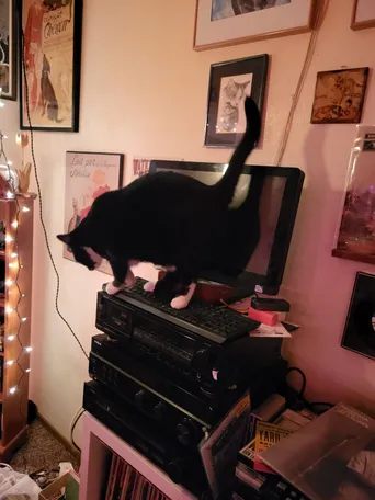She doesn't know how to use a computer, but she doesn't let that stop her