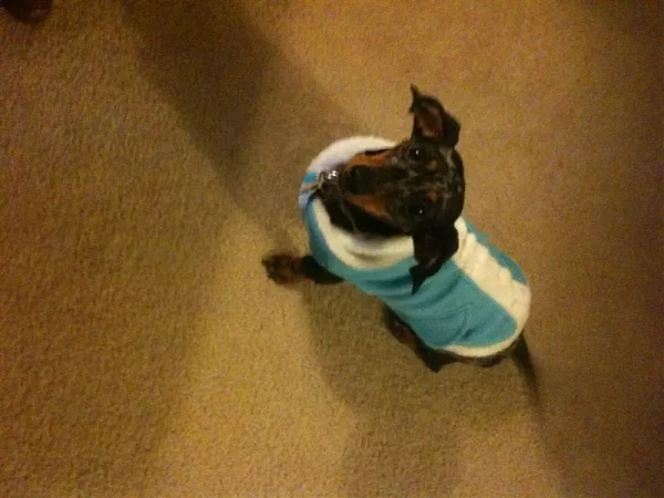 Roxy