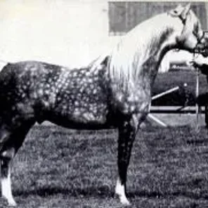 Indian Silver
