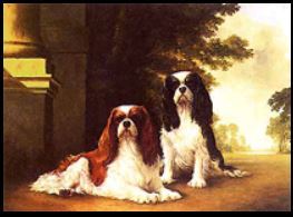 The Tudors Beloved Pets Pt 2