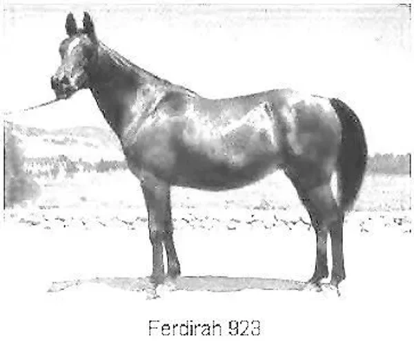 FERDIRAH