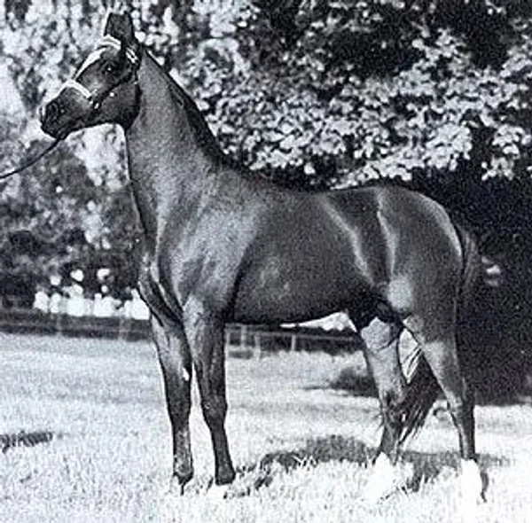 Etap