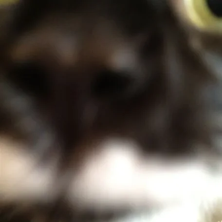 Phones smell funny.
